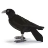Aaskrähe Hansa 31 cm