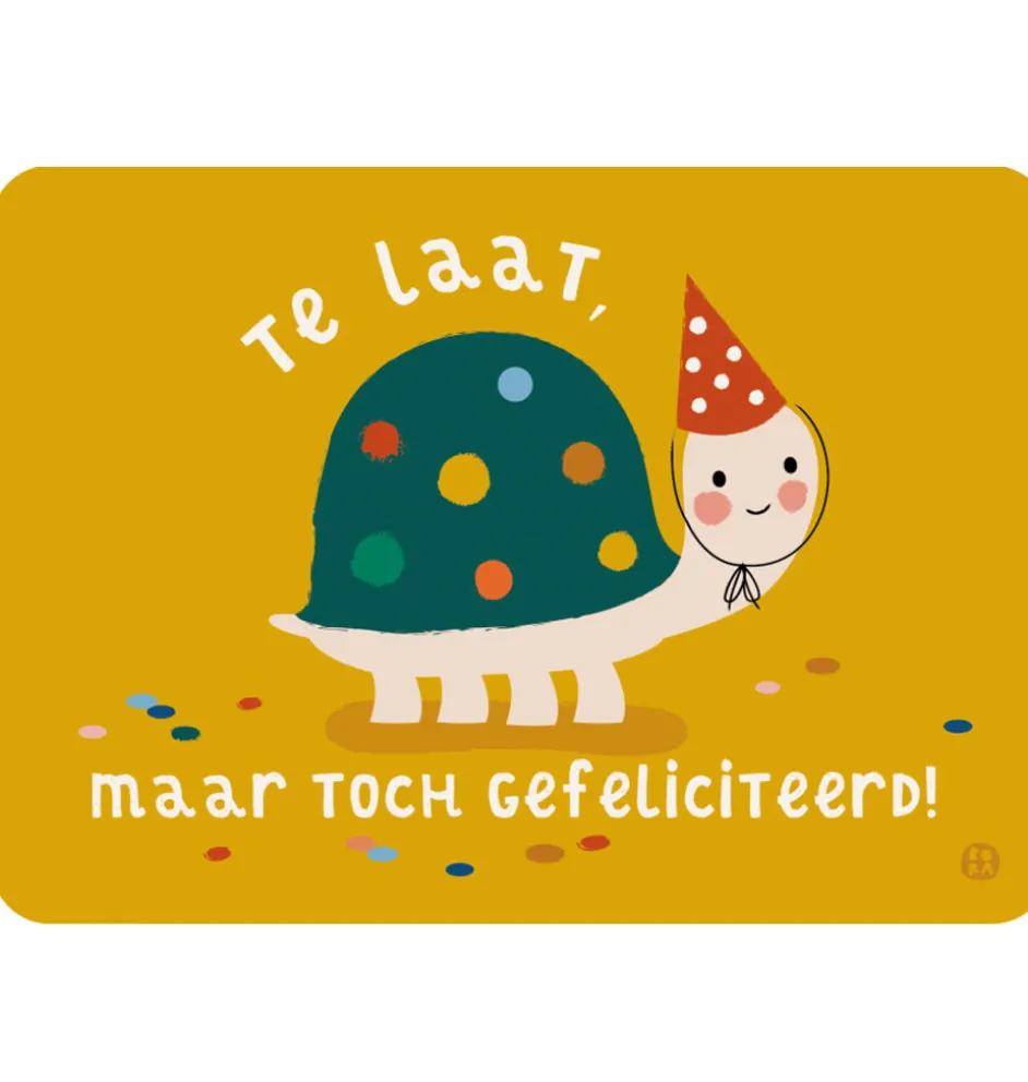 By-Bora Kartenschildkröte