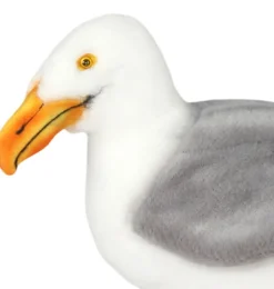 Hansa Creation Albatros