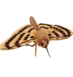 Hansa Creation beige Motte