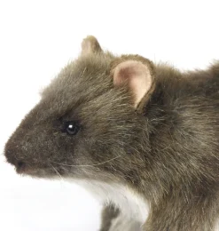 Hansa Creation Wanderratte 19 cm