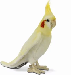 Hansa-Nymphensittich