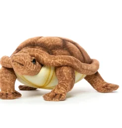 Hansa-Schöpfungsschildkröte