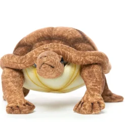 Hansa-Schöpfungsschildkröte