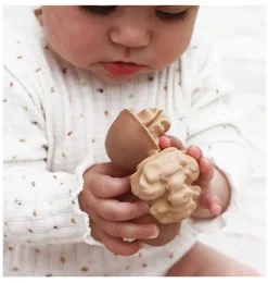 Oli & Carol Nutty das Walnussbade- und Beißspielzeug