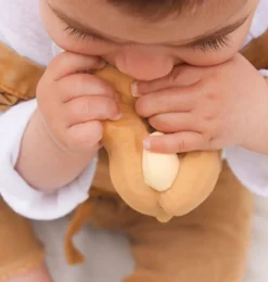 Oli & Carol Paco die Erdnuss