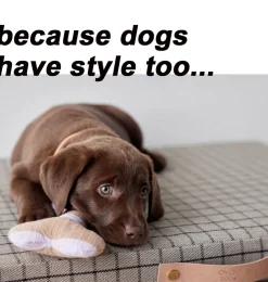 OYOY Hundespielzeug Ashi Knochen