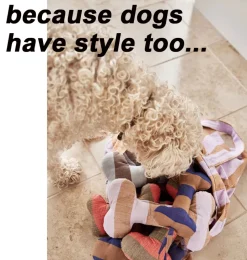 OYOY Hundespielzeug Ashi Knochen